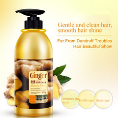 Herbal Ginger Hair Shampoo